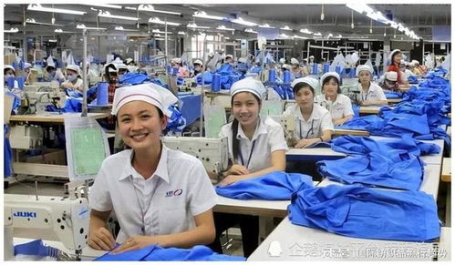 越南紡織業(yè)困境 出口下滑與庫存壓力下的投資策略分析